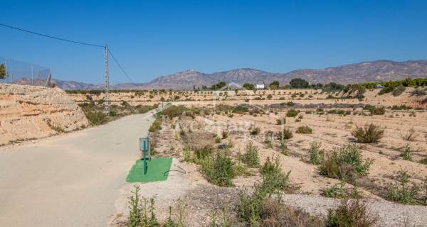 Een stuk grond - Nieuwbouw - Crevillent - Crevillent