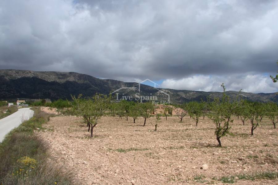 Nuevo - Plot of Land - Pinoso