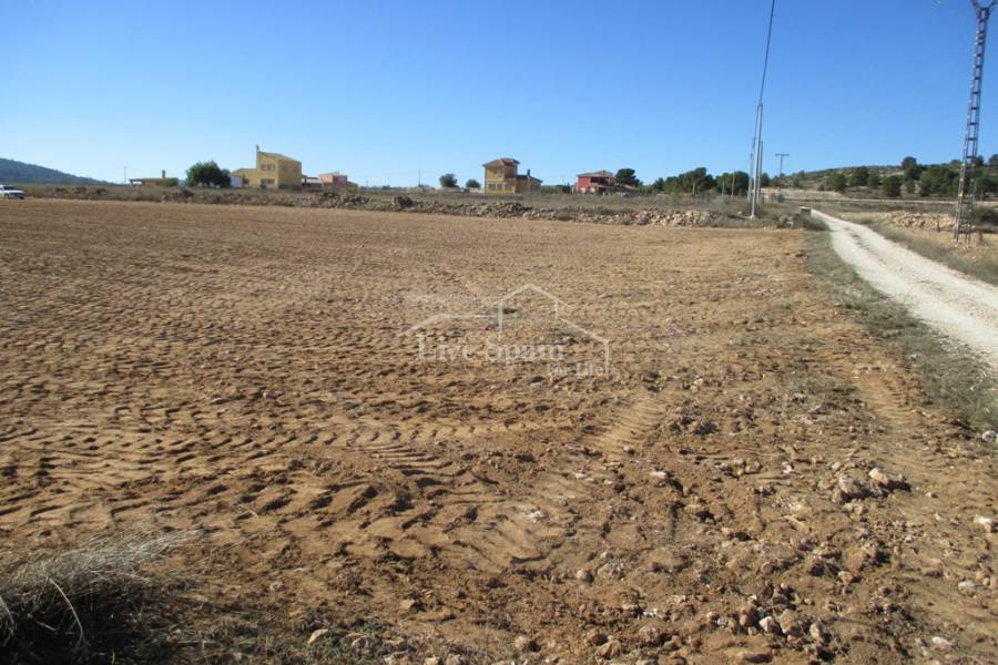 Nieuwbouw - Een stuk grond - Pinoso